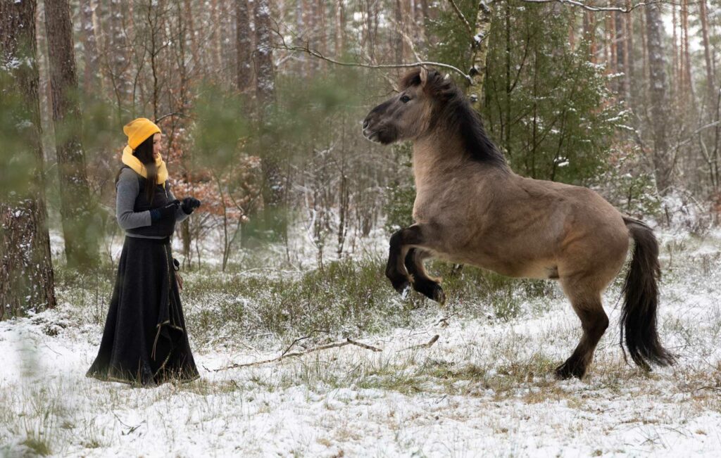 Pferd steht mit Frau in einem verschneiten Wald und kommt hoch.